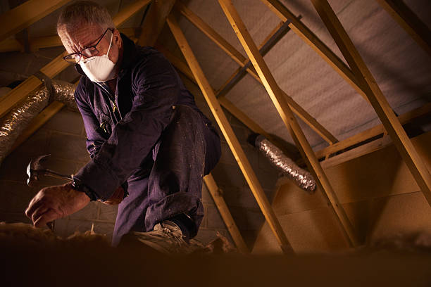 Best Insulation Contractors for Homes  in Green Hill, TN